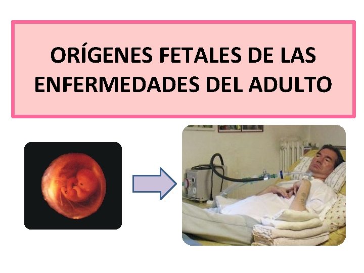 ORÍGENES FETALES DE LAS ENFERMEDADES DEL ADULTO ORÍGENES FETALES DE LAS ENFERMEDADES DEL ADULTO