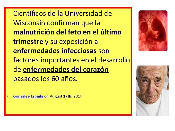 Científicos de la Universidad de Wisconsin confirman que la malnutrición del feto en el Científicos de la Universidad de Wisconsin confirman que la malnutrición del feto en el