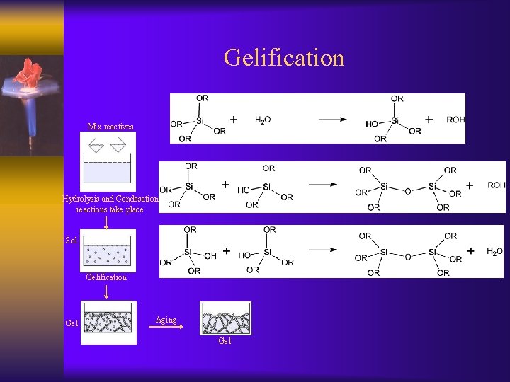 Gelification Mix reactives Hydrolysis and Condesation reactions take place Sol Gelification Gel Aging Gel