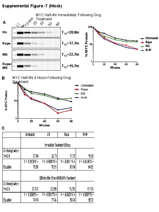 80 60 40 (Ch ) x 10 m A MYC Half-life Immediately Following Drug 80 60 40 (Ch ) x 10 m A MYC Half-life Immediately Following Drug