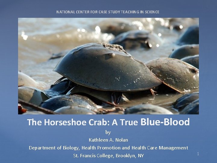 NATIONAL CENTER FOR CASE STUDY TEACHING IN SCIENCE The Horseshoe Crab: A True Blue-Blood