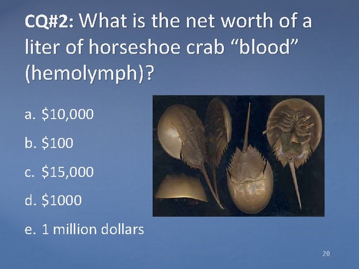 CQ#2: What is the net worth of a liter of horseshoe crab “blood” (hemolymph)?