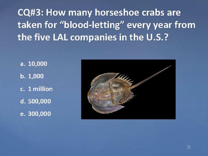 CQ#3: How many horseshoe crabs are taken for “blood-letting” every year from the five