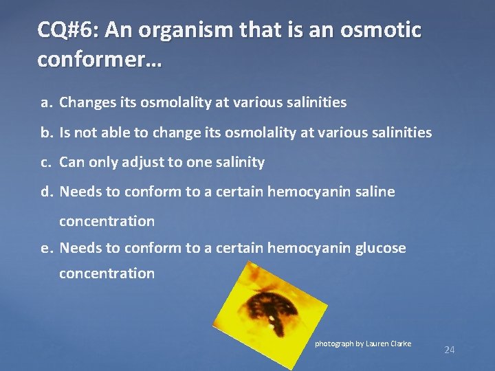 CQ#6: An organism that is an osmotic conformer… a. Changes its osmolality at various