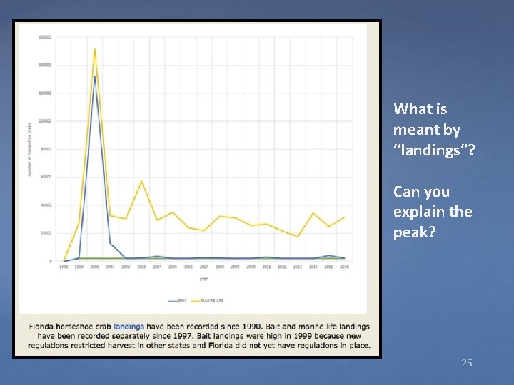 What is meant by “landings”? Can you explain the peak? 25 