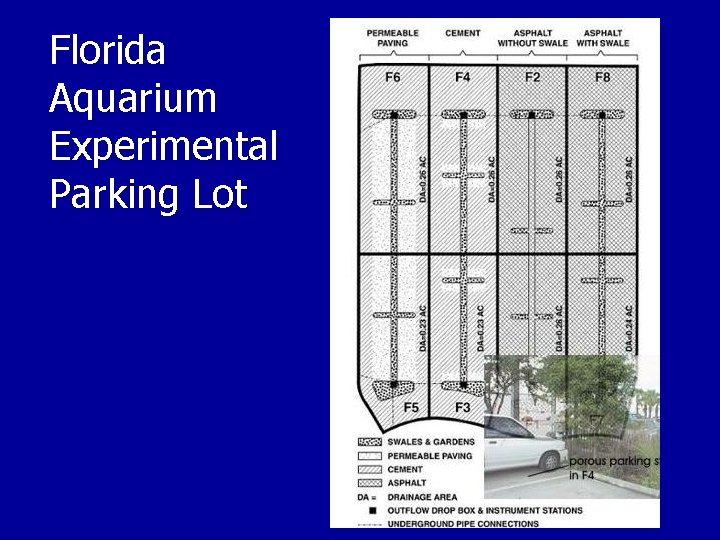 Florida Aquarium Experimental Parking Lot 