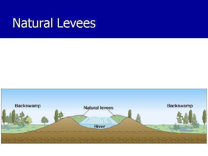 Natural Levees 