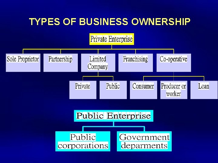 TYPES OF BUSINESS OWNERSHIP 