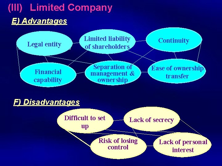 (III) Limited Company E) Advantages Limited liability of shareholders Legal entity Separation of management