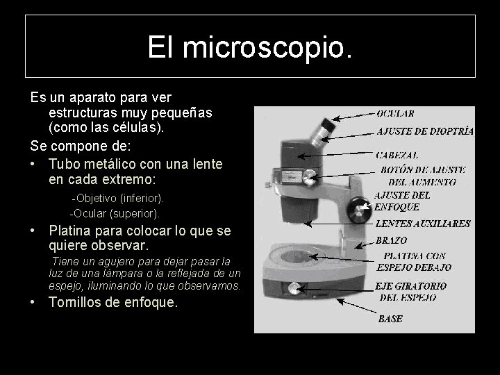 El microscopio. Es un aparato para ver estructuras muy pequeñas (como las células). Se