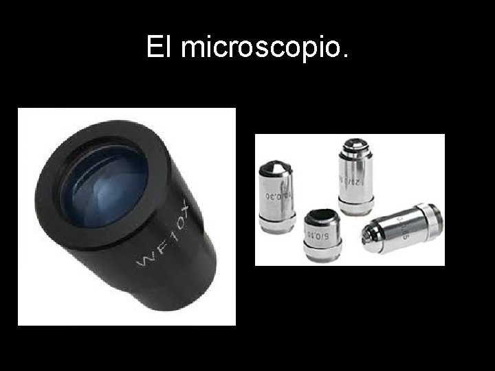 El microscopio. 