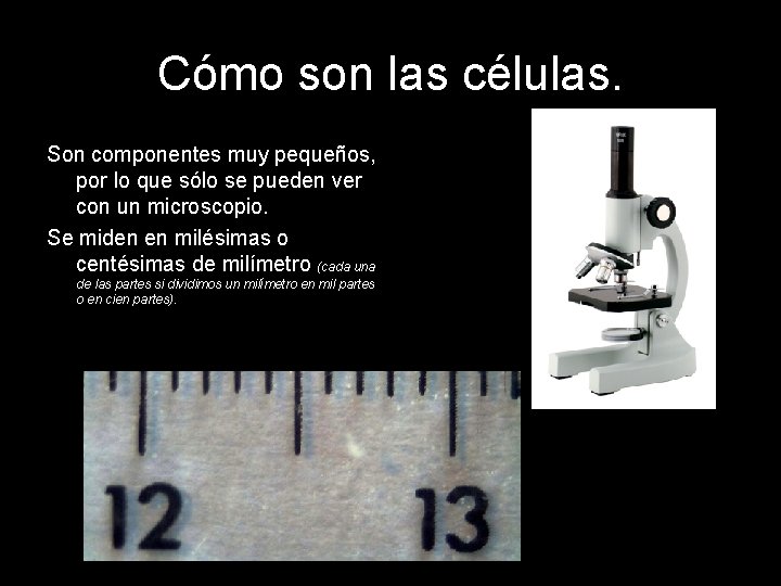 Cómo son las células. Son componentes muy pequeños, por lo que sólo se pueden