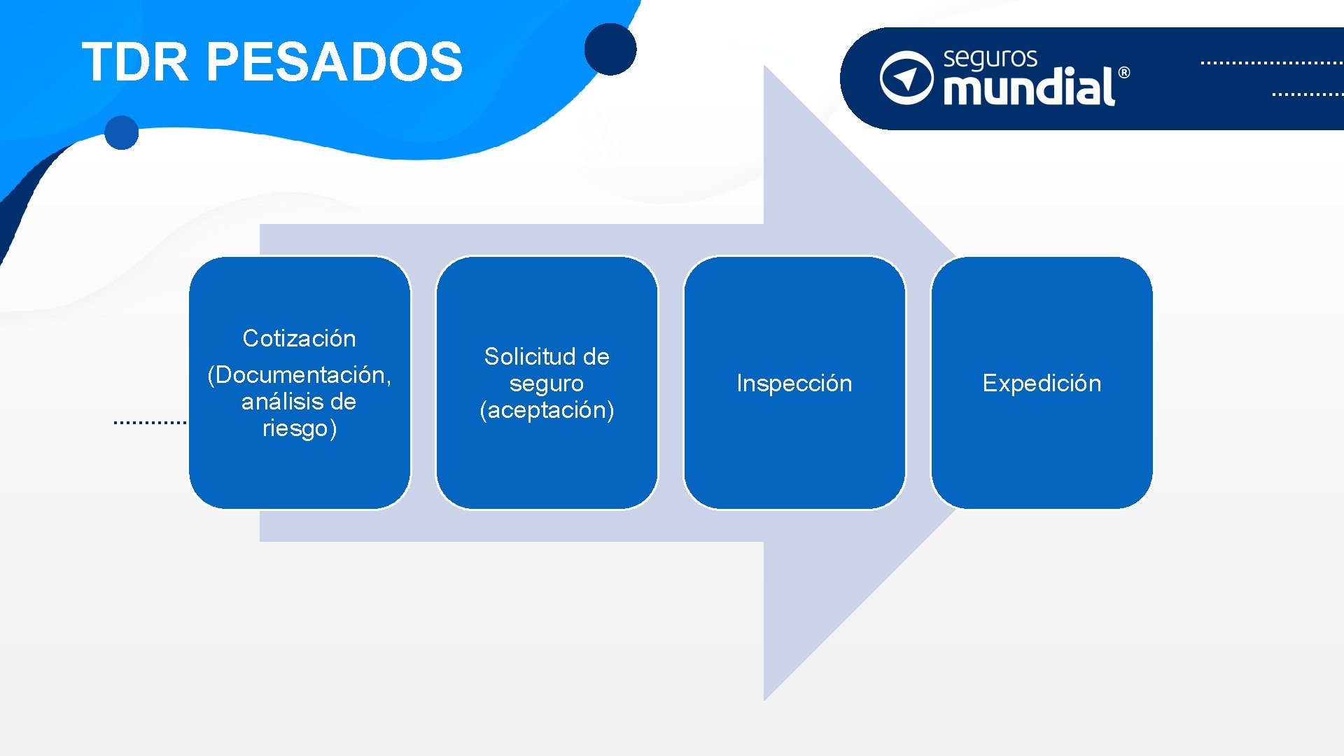 TDR PESADOS Cotización (Documentación, análisis de riesgo) Solicitud de seguro (aceptación) Inspección Expedición 