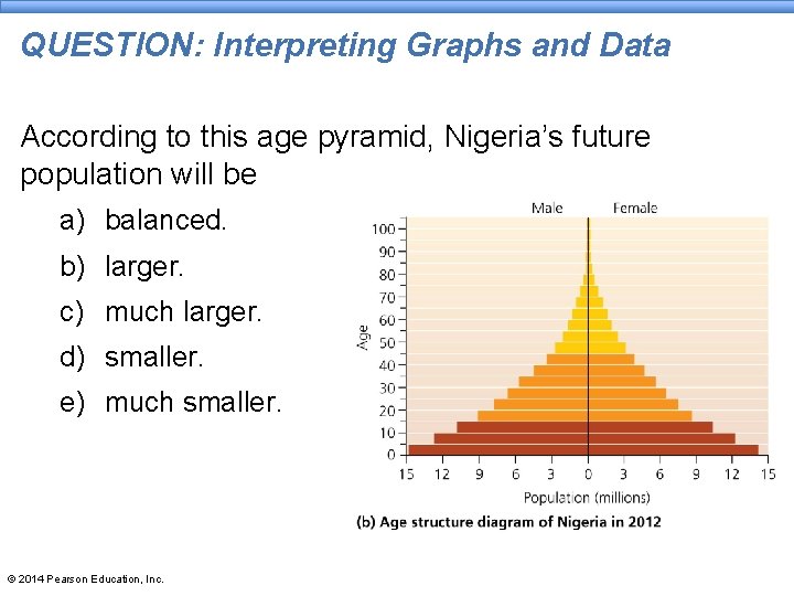 QUESTION: Interpreting Graphs and Data According to this age pyramid, Nigeria’s future population will QUESTION: Interpreting Graphs and Data According to this age pyramid, Nigeria’s future population will