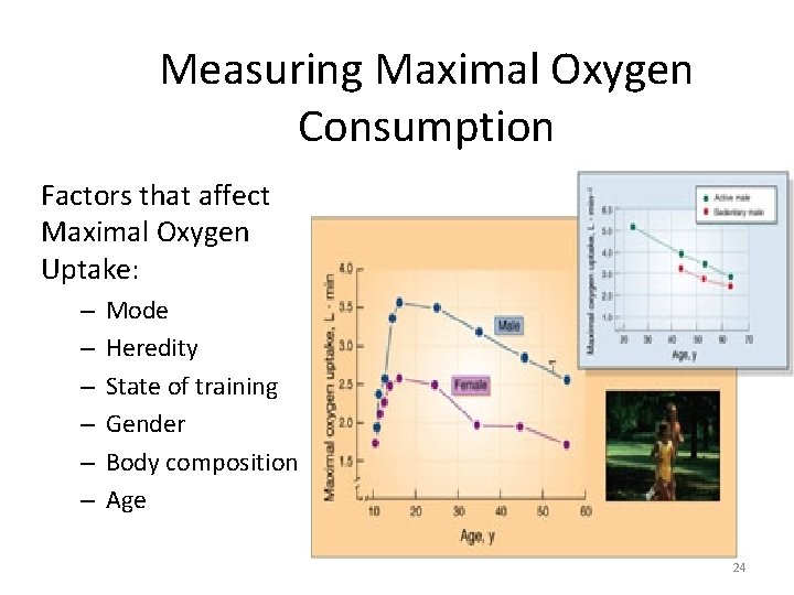Measuring Maximal Oxygen Consumption Factors that affect Maximal Oxygen Uptake: – – – Mode Measuring Maximal Oxygen Consumption Factors that affect Maximal Oxygen Uptake: – – – Mode