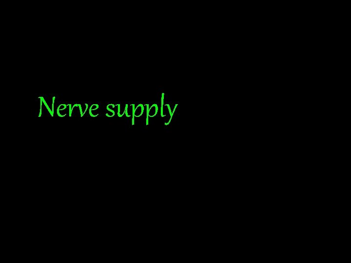 Nerve supply 