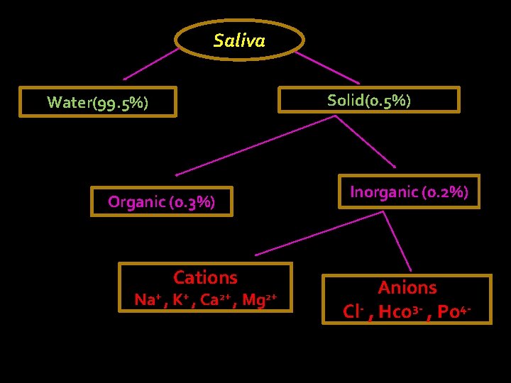 Saliva Solid(0. 5%) Water(99. 5%) Inorganic (0. 2%) Organic (0. 3%) Na+ , Cations
