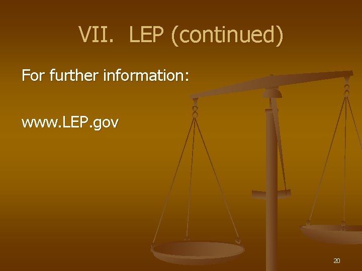 VII. LEP (continued) For further information: www. LEP. gov 20 