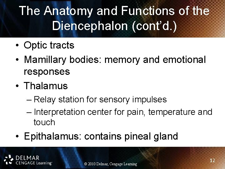 The Anatomy and Functions of the Diencephalon (cont’d. ) • Optic tracts • Mamillary