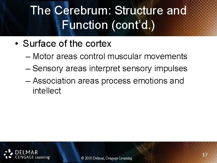 The Cerebrum: Structure and Function (cont’d. ) • Surface of the cortex – Motor The Cerebrum: Structure and Function (cont’d. ) • Surface of the cortex – Motor