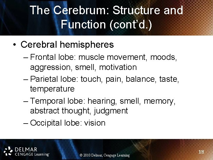 The Cerebrum: Structure and Function (cont’d. ) • Cerebral hemispheres – Frontal lobe: muscle