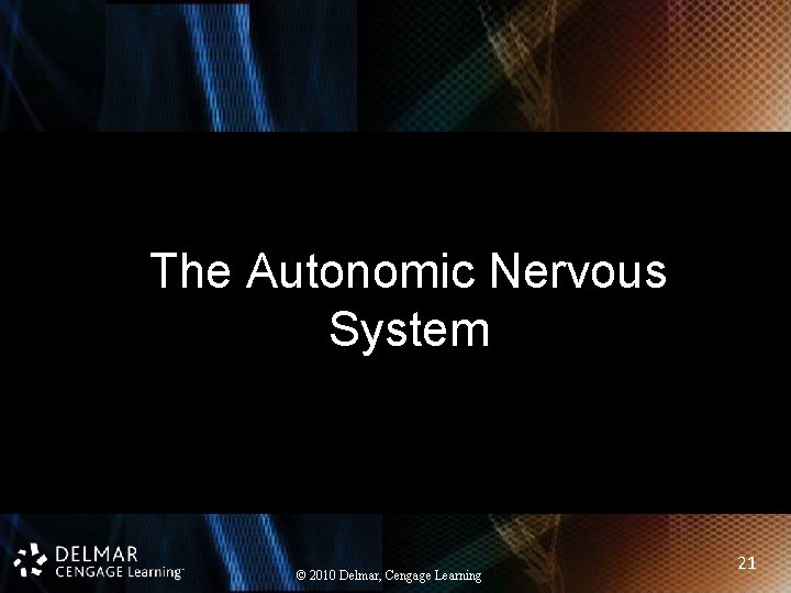 The Autonomic Nervous System © 2010 Delmar, Cengage Learning 21 