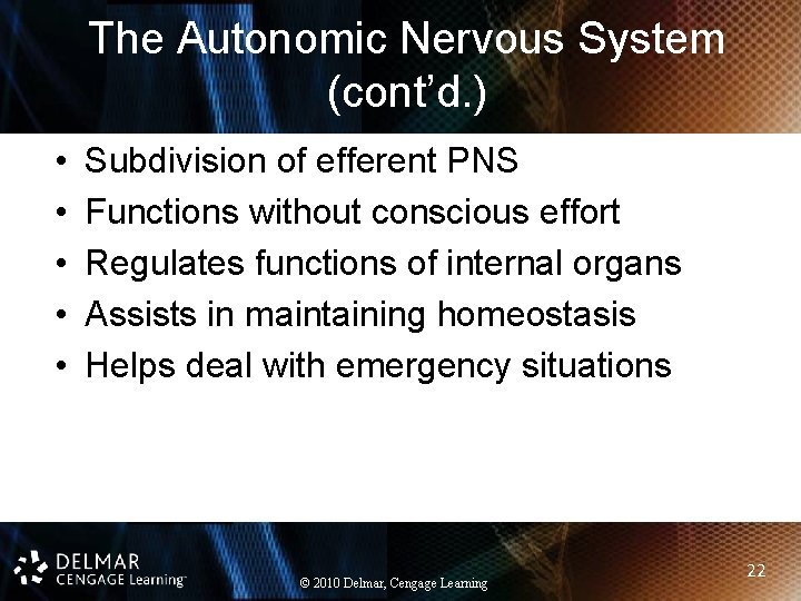 The Autonomic Nervous System (cont’d. ) • • • Subdivision of efferent PNS Functions