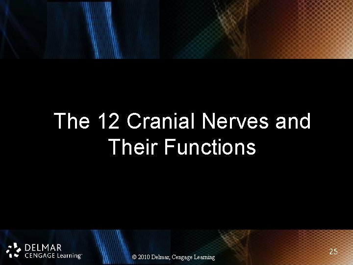 The 12 Cranial Nerves and Their Functions © 2010 Delmar, Cengage Learning 25 The 12 Cranial Nerves and Their Functions © 2010 Delmar, Cengage Learning 25