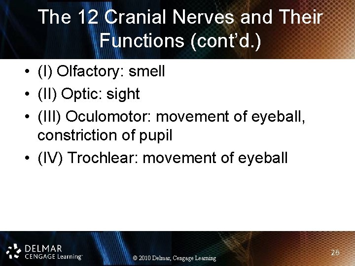 The 12 Cranial Nerves and Their Functions (cont’d. ) • (I) Olfactory: smell •