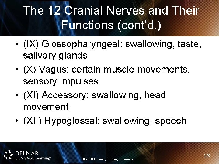 The 12 Cranial Nerves and Their Functions (cont’d. ) • (IX) Glossopharyngeal: swallowing, taste,