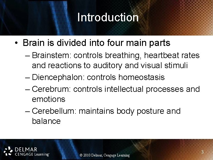 Introduction • Brain is divided into four main parts – Brainstem: controls breathing, heartbeat