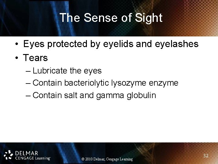 The Sense of Sight • Eyes protected by eyelids and eyelashes • Tears –