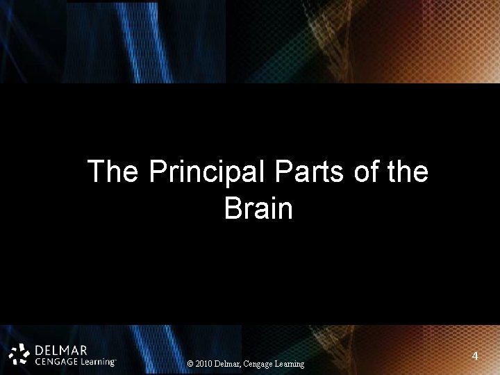 The Principal Parts of the Brain © 2010 Delmar, Cengage Learning 4 