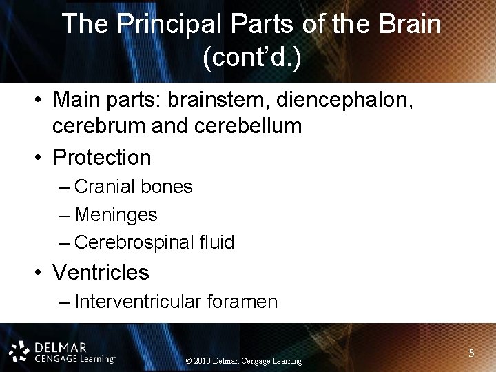 The Principal Parts of the Brain (cont’d. ) • Main parts: brainstem, diencephalon, cerebrum