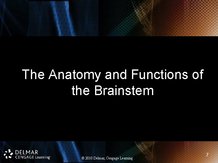 The Anatomy and Functions of the Brainstem © 2010 Delmar, Cengage Learning 7 