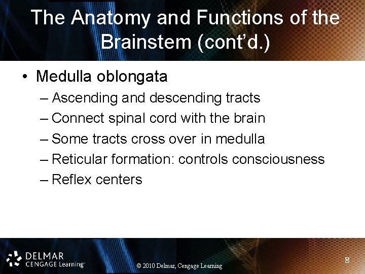 The Anatomy and Functions of the Brainstem (cont’d. ) • Medulla oblongata – Ascending