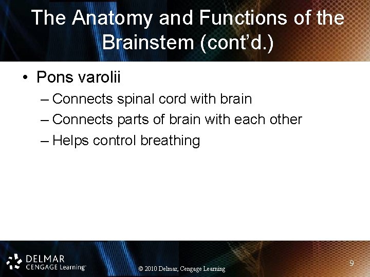 The Anatomy and Functions of the Brainstem (cont’d. ) • Pons varolii – Connects The Anatomy and Functions of the Brainstem (cont’d. ) • Pons varolii – Connects