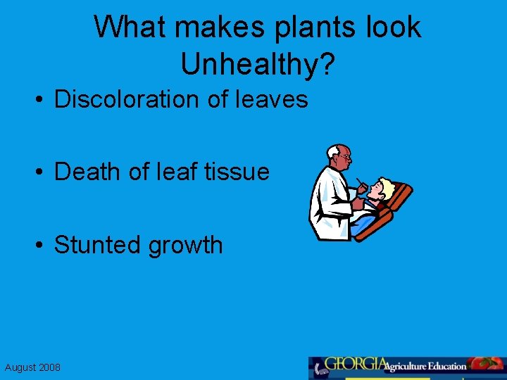 What makes plants look Unhealthy? • Discoloration of leaves • Death of leaf tissue