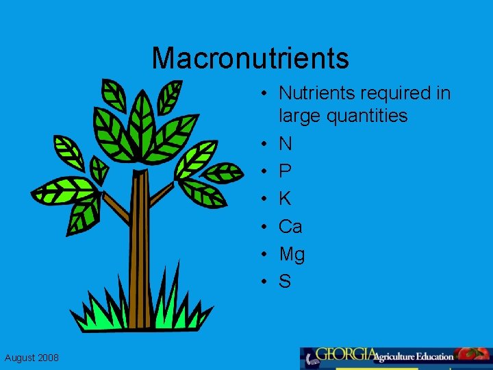 Macronutrients • Nutrients required in large quantities • N • P • K •