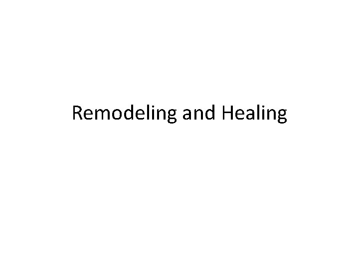 Remodeling and Healing 
