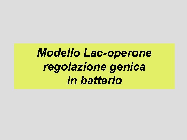 Modello Lac-operone regolazione genica in batterio 