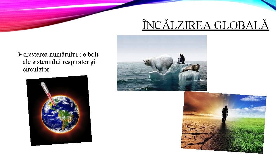 ÎNCĂLZIREA GLOBALĂ Øcreşterea numărului de boli ale sistemului respirator şi circulator. 