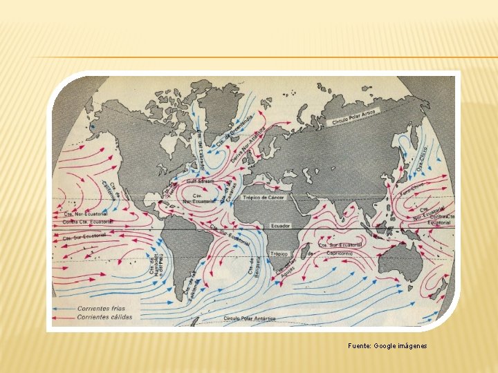 Fuente: Google imágenes 