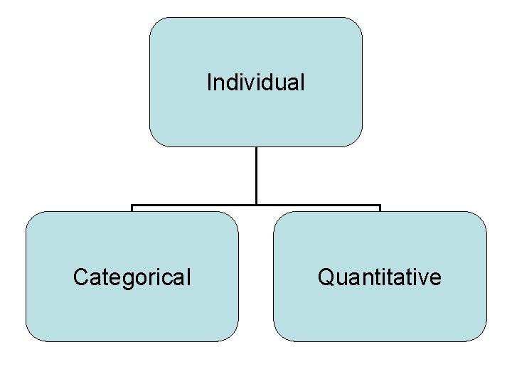 Individual Categorical Quantitative 