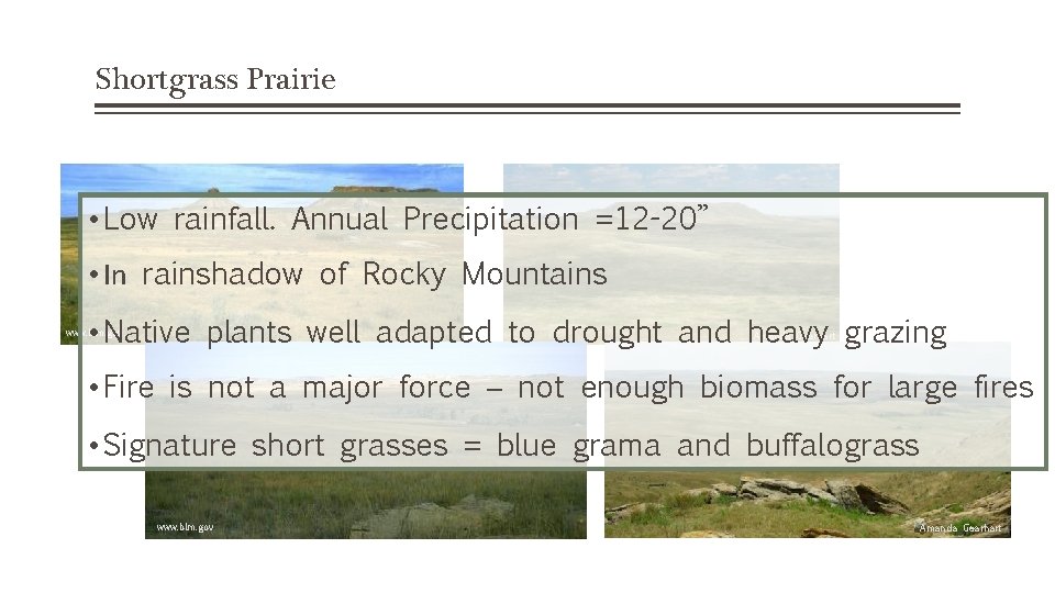 Shortgrass Prairie • Low rainfall. Annual Precipitation =12 -20” • In rainshadow of Rocky