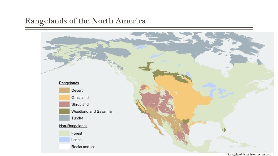 Rangelands of the North America Rangeland Map from Wrangle. Org 