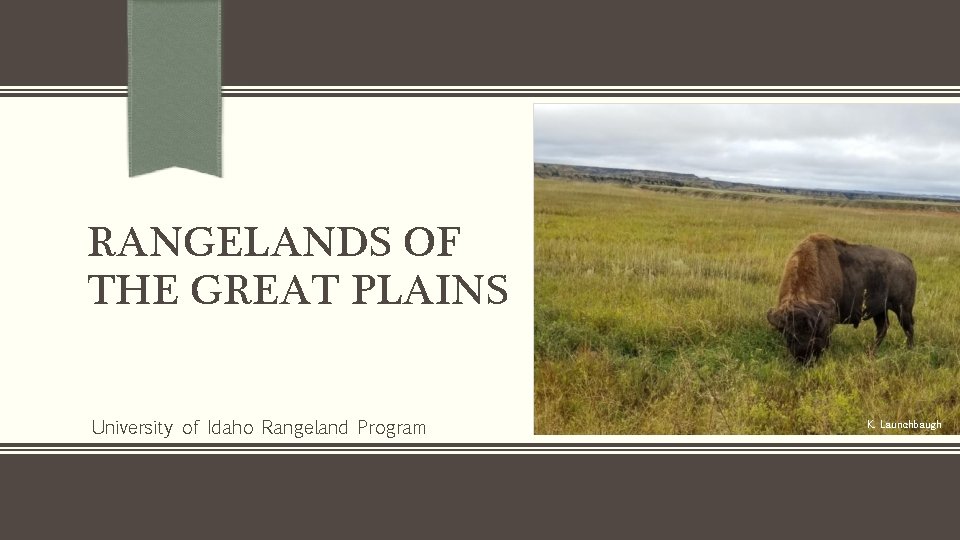 RANGELANDS OF THE GREAT PLAINS University of Idaho Rangeland Program Michael Haddock K. Launchbaugh