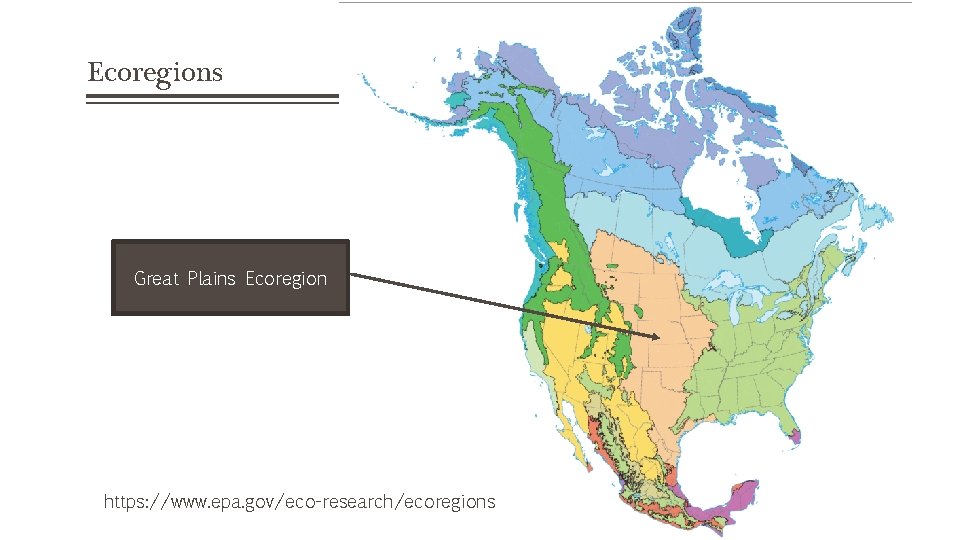 Ecoregions Great Plains Ecoregion https: //www. epa. gov/eco-research/ecoregions 