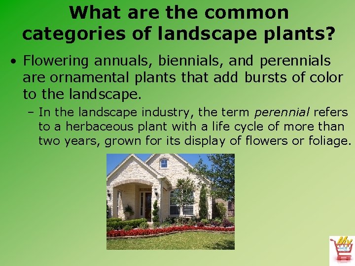What are the common categories of landscape plants? • Flowering annuals, biennials, and perennials