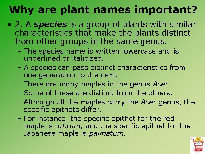 Why are plant names important? • 2. A species is a group of plants